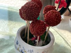 -椿记烧鹅(北门店)
