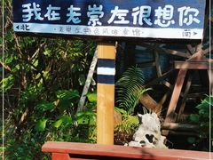 -老崇左特色风味食馆