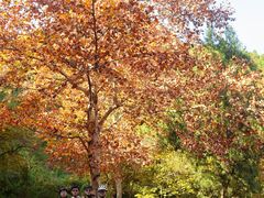 -金堂县云顶石城风景区