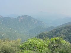-大岭沟猕猴桃谷风景区