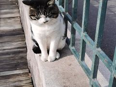 -青岛第三海水浴场