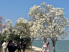 -阳澄湖半岛旅游度假区