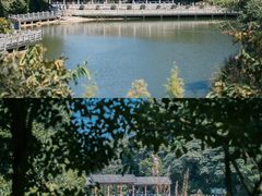 -广州市帽峰山景区