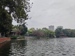 -荔湾湖公园