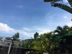 -100蛋泥浆浴