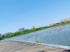 -成都南湖公园
