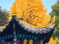 -包公祠