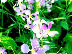 -周口店北京人遗址公园