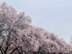 -秦始皇帝陵博物院(兵马俑)