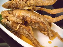 -丰收日·小海鲜·沪上家宴(顾村正大店)