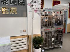 -邢大夫动物医院