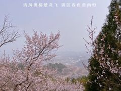 -北京凤凰岭