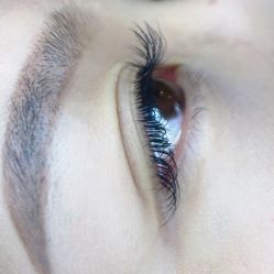 -BELLAREAL新美社