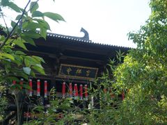 -大唐贡茶院
