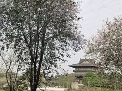 -海珠湖公园