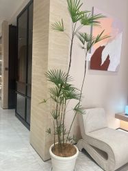 -WENDY·温迪皮肤管理