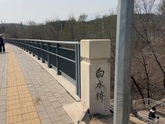 -白水寺森林公园