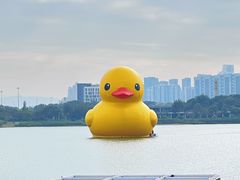 -深圳人才公园