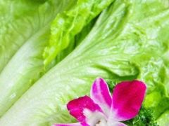 生菜-刘少华贵州小黄牛·鲜牛肉火锅(总店)