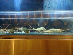 -板长寿司(海港城店)