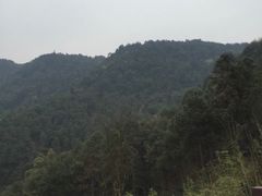 -铁山坪森林公园