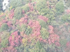 -少华山国家森林公园