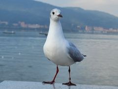 -滇池海埂公园