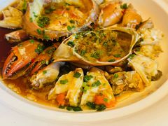 -新天明砂锅鱼头煲