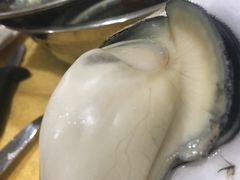 -蚝专家(北滘店)