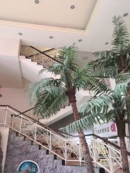-五洲妇儿医院
