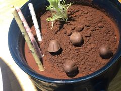 椰香盆栽奶豆腐-胡马八破·川菜小馆(高新万达店)