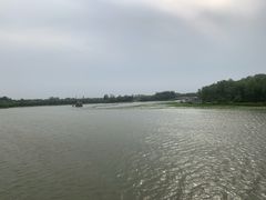 -大兴滨河森林公园