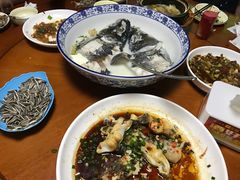 -全乐鱼馆·淳牌有机鱼直营店