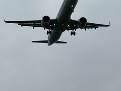 -空港花田景区