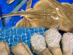 -三亚火车头万人海鲜广场