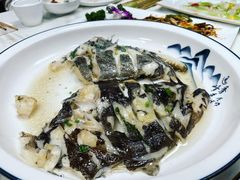 -丁老爷子苏香圆