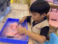 -卡通尼·Safari非洲探索乐园·生日会(金桥国际商业广场店)