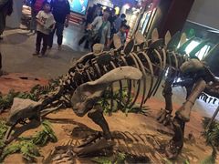 -自贡恐龙博物馆