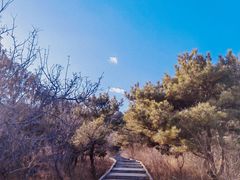 -北京西山国家森林公园