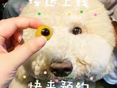 -Oh My Dog宠物沙龙(伊珊娜皮毛护理店)