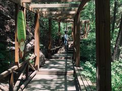 -大岭沟猕猴桃谷风景区