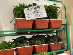 -山东宾馆·齐鲁苑餐厅