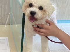 -爱派特动物医院·全科诊疗中心