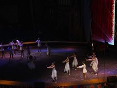 -俄罗斯国家大马戏团