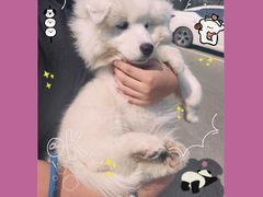-贝康宠物医院·犬猫全科·小动物特色诊疗中心(东环路店)