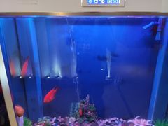 -海底捞火锅(九久奥特莱斯店)