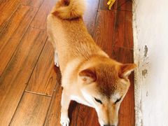 -About Bistro關於·泰式家庭料理