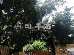 -石峰岩寺