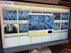 -丝客富脱发养发头皮馆