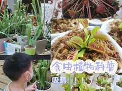 -武汉荟聚